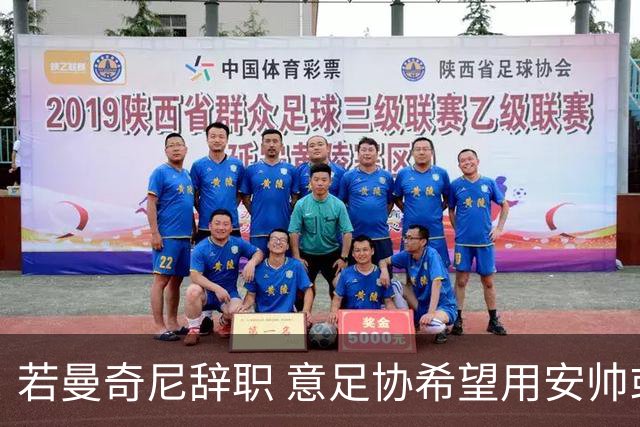 若曼奇尼辞职 意足协希望用安帅或卡纳瓦罗替代